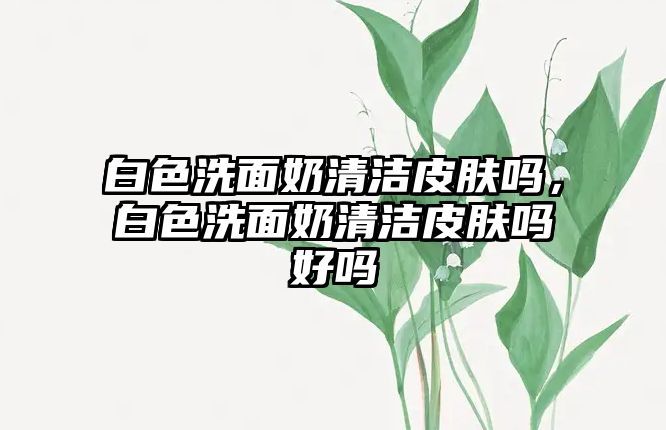 白色洗面奶清潔皮膚嗎，白色洗面奶清潔皮膚嗎好嗎